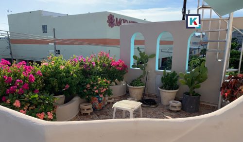 PERLA(600 x 350 px) - 2