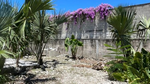 Diseño sin título - 8