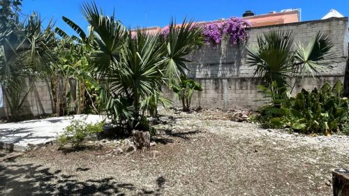 Diseño sin título - 10