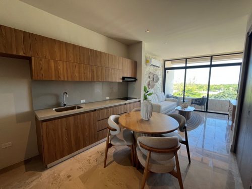 Distrito Norte Cozumel 01