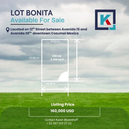 Lot Bonita 01