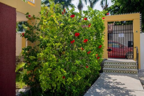 Ventanas C 402 Cozumel 34