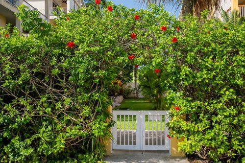 Ventanas C 402 Cozumel 44